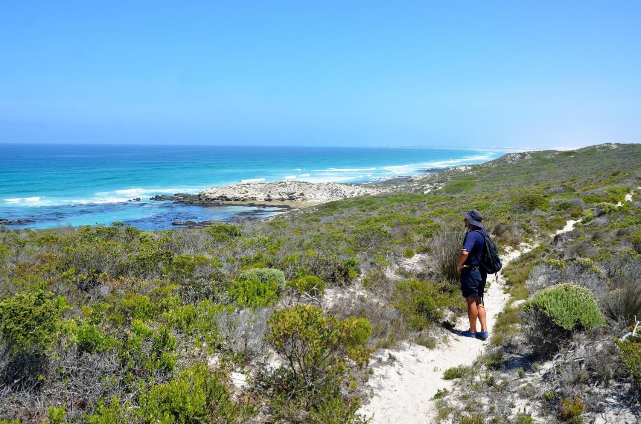 Morukuru Beach Lodge De Hoop Nature Reserve Екстериор снимка