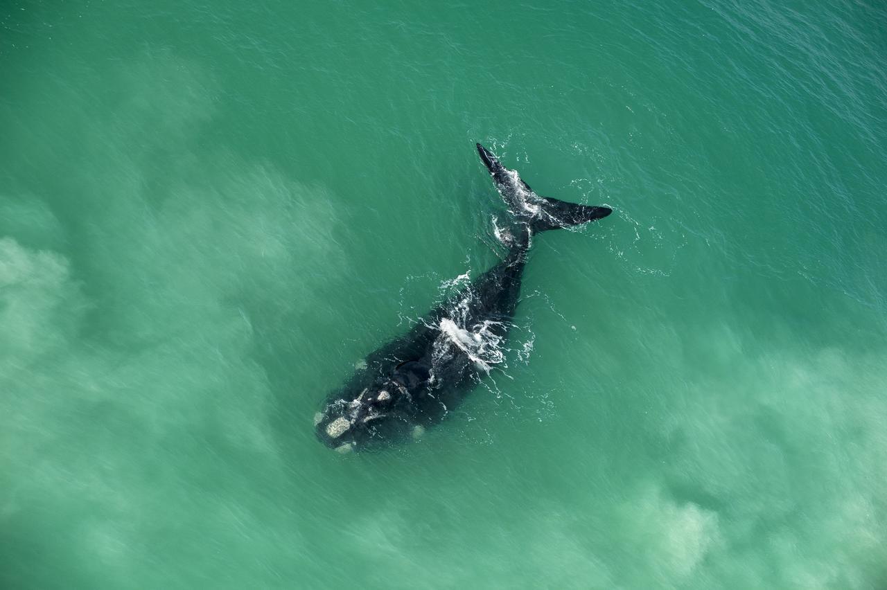 Morukuru Beach Lodge De Hoop Nature Reserve Екстериор снимка