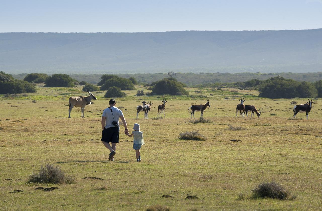 Morukuru Beach Lodge De Hoop Nature Reserve Екстериор снимка