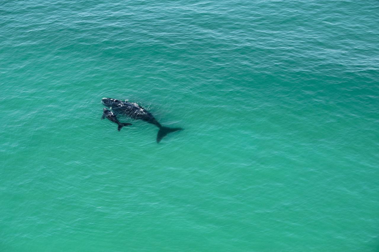 Morukuru Beach Lodge De Hoop Nature Reserve Екстериор снимка